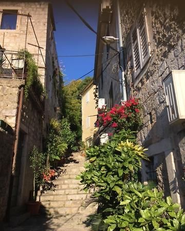 Apartment Simo تْشيرسيك نوفي المظهر الخارجي الصورة