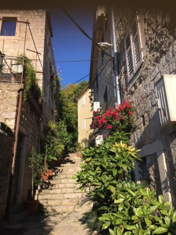 Apartment Simo تْشيرسيك نوفي المظهر الخارجي الصورة